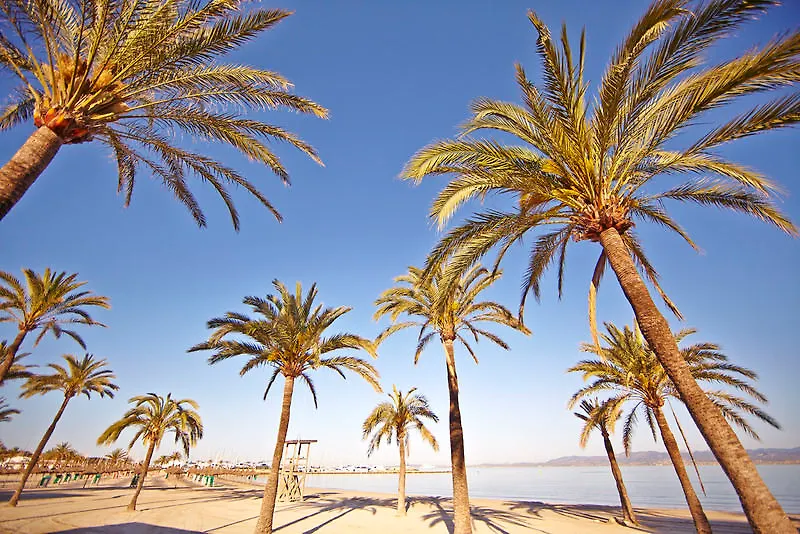 Indico Rock Hotel Mallorca - Adults Only Playa de Palma